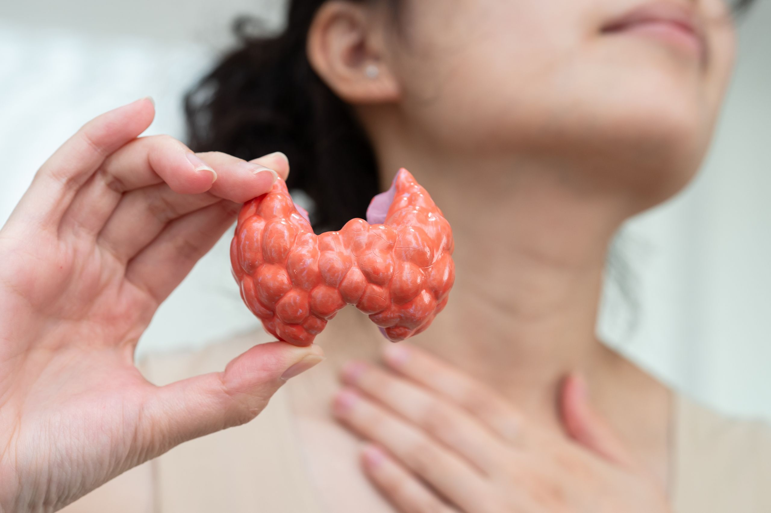 Room Interior 5 Room Interior 5