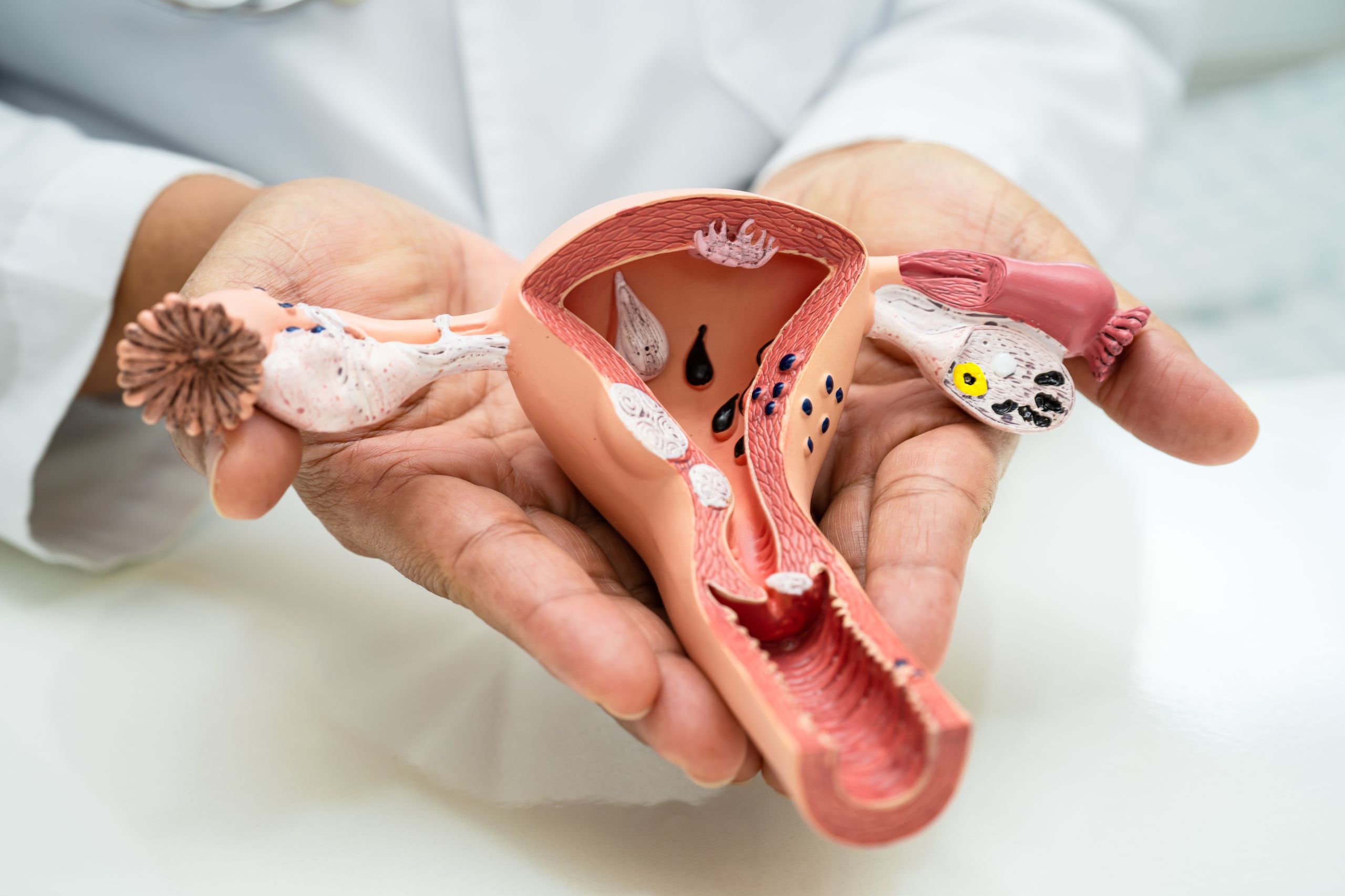 Room Interior 5 Room Interior 5